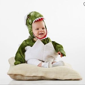 Pottery Barn Kids Dinosaur unisex costume